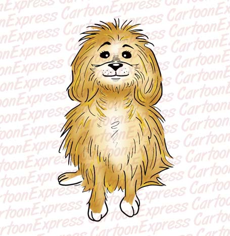 poodle